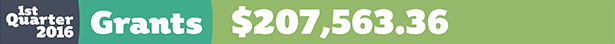 2016-Web-Grants-dollar-tag
